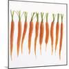 Fresh Carrots-Barbara Bonisolli-Mounted Photographic Print