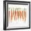 Fresh Carrots-Barbara Bonisolli-Framed Photographic Print