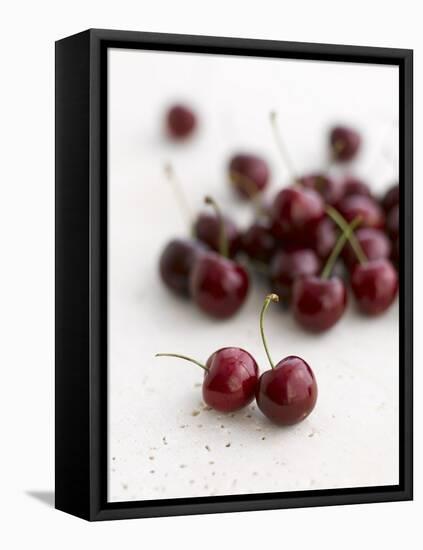 Fresh Cherries-Sam Stowell-Framed Premier Image Canvas