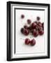 Fresh Cherries-Sam Stowell-Framed Photographic Print