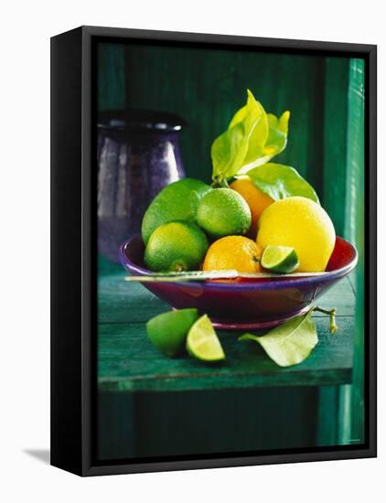 Fresh Citrus Fruits in Red Bowl-null-Framed Premier Image Canvas