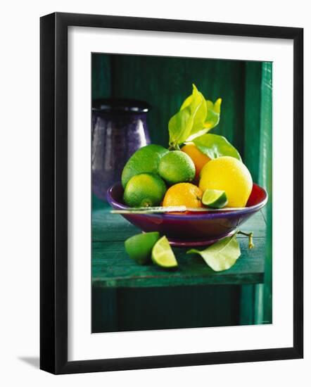 Fresh Citrus Fruits in Red Bowl-null-Framed Photographic Print