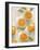 Fresh Citrus VI-Emma Scarvey-Framed Art Print