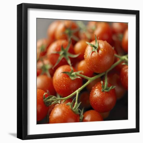 Fresh Cocktail Tomatoes Sprinkled with Water-null-Framed Photographic Print