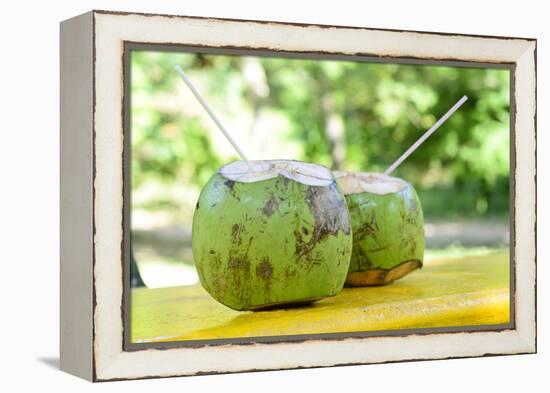 Fresh Coconut-Paul_Brighton-Framed Premier Image Canvas