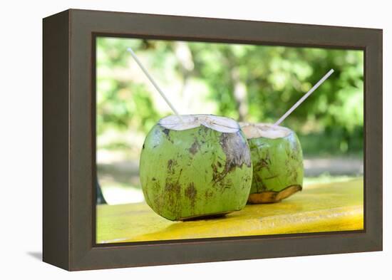 Fresh Coconut-Paul_Brighton-Framed Premier Image Canvas
