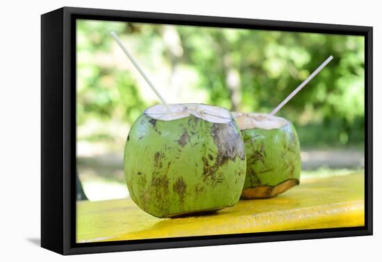 Fresh Coconut-Paul_Brighton-Framed Premier Image Canvas