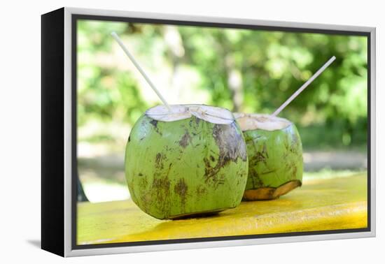 Fresh Coconut-Paul_Brighton-Framed Premier Image Canvas