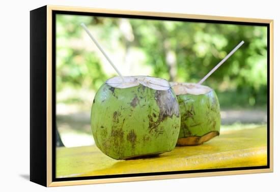 Fresh Coconut-Paul_Brighton-Framed Premier Image Canvas