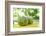 Fresh Coconut-Paul_Brighton-Framed Photographic Print