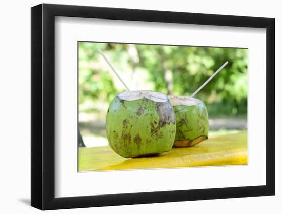 Fresh Coconut-Paul_Brighton-Framed Photographic Print