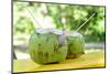 Fresh Coconut-Paul_Brighton-Mounted Photographic Print