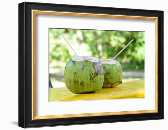 Fresh Coconut-Paul_Brighton-Framed Photographic Print