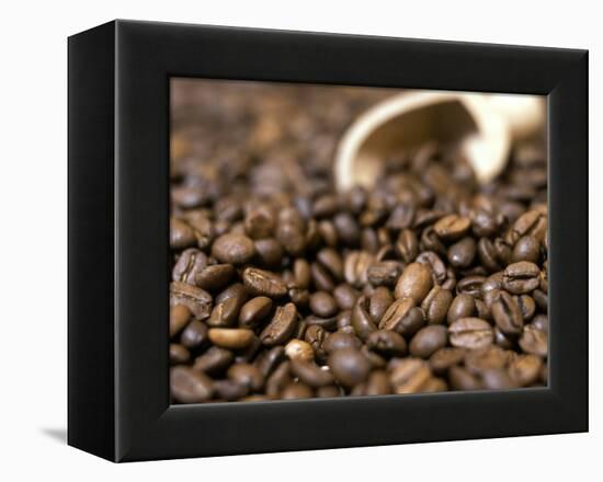 Fresh Coffee Beans Out of the Bag-Steven Morris-Framed Premier Image Canvas