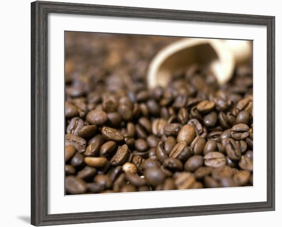 Fresh Coffee Beans Out of the Bag-Steven Morris-Framed Photographic Print