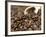 Fresh Coffee Beans Out of the Bag-Steven Morris-Framed Photographic Print