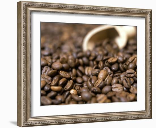 Fresh Coffee Beans Out of the Bag-Steven Morris-Framed Photographic Print