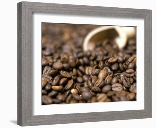 Fresh Coffee Beans Out of the Bag-Steven Morris-Framed Photographic Print