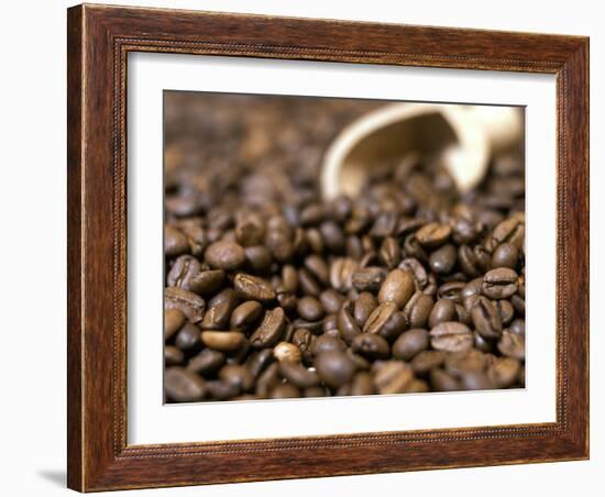 Fresh Coffee Beans Out of the Bag-Steven Morris-Framed Photographic Print