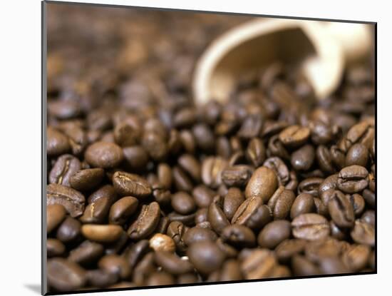 Fresh Coffee Beans Out of the Bag-Steven Morris-Mounted Photographic Print