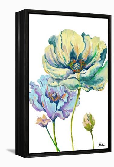 Fresh Colored Poppies II-Patricia Pinto-Framed Stretched Canvas