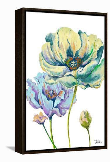 Fresh Colored Poppies II-Patricia Pinto-Framed Stretched Canvas