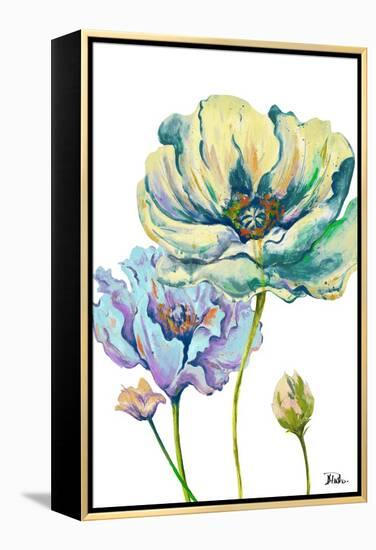 Fresh Colored Poppies II-Patricia Pinto-Framed Stretched Canvas