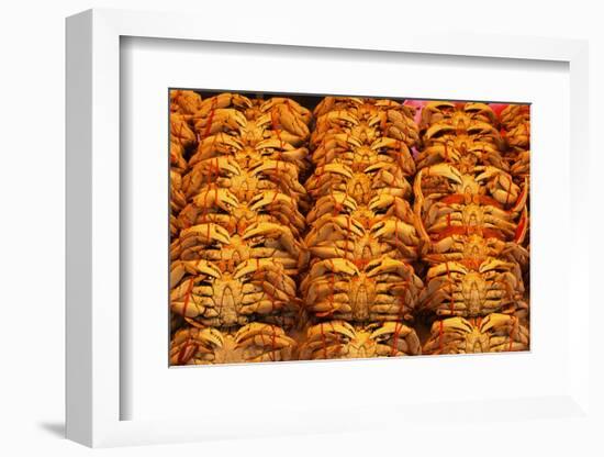 Fresh Crab at Pike Place Market-Paul Souders-Framed Photographic Print