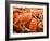 Fresh Crab in Pike Street Market, Seattle, Washington, USA-Janis Miglavs-Framed Photographic Print