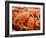 Fresh Crab in Pike Street Market, Seattle, Washington, USA-Janis Miglavs-Framed Photographic Print