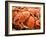 Fresh Crab in Pike Street Market, Seattle, Washington, USA-Janis Miglavs-Framed Photographic Print