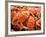 Fresh Crab in Pike Street Market, Seattle, Washington, USA-Janis Miglavs-Framed Photographic Print