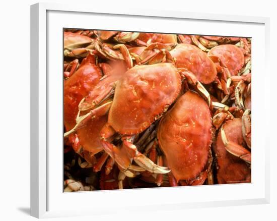 Fresh Crab in Pike Street Market, Seattle, Washington, USA-Janis Miglavs-Framed Photographic Print