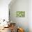 Fresh Cucumbers-Steve Gadomski-Photographic Print displayed on a wall