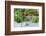 Fresh Curly Cale and Tomatoes on Grey Wooden Table-Jana Ihle-Framed Photographic Print