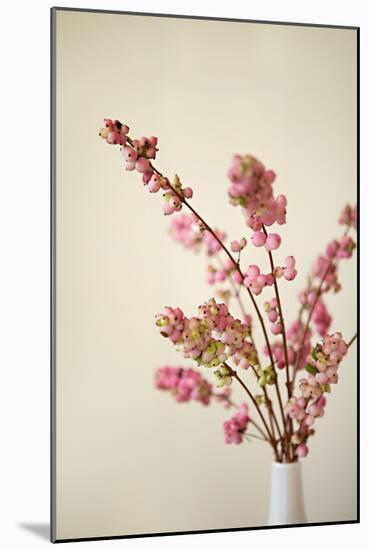 Fresh Cut Flowers II-Karyn Millet-Mounted Photo