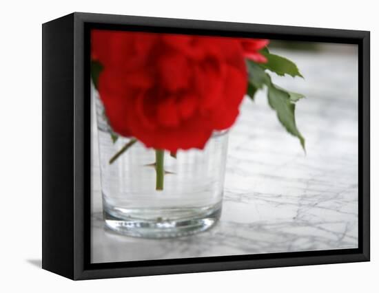 Fresh Cut Roses-Nicole Katano-Framed Stretched Canvas