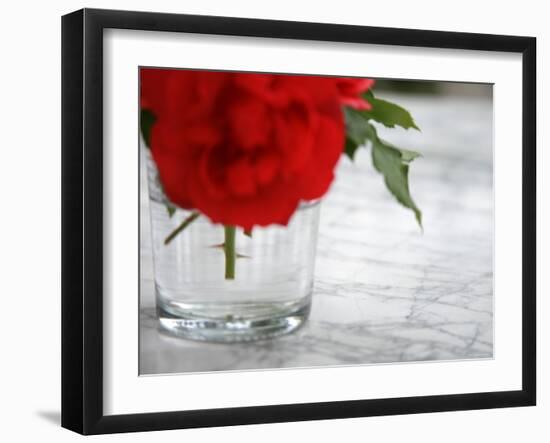 Fresh Cut Roses-Nicole Katano-Framed Photo