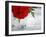 Fresh Cut Roses-Nicole Katano-Framed Photo