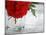 Fresh Cut Roses-Nicole Katano-Mounted Photo