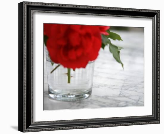 Fresh Cut Roses-Nicole Katano-Framed Photo