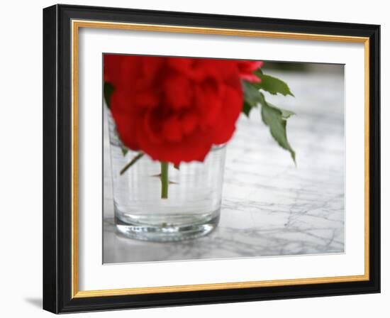 Fresh Cut Roses-Nicole Katano-Framed Photo