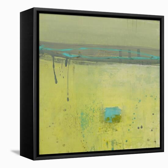 Fresh Dimensions-Lisa Ridgers-Framed Stretched Canvas