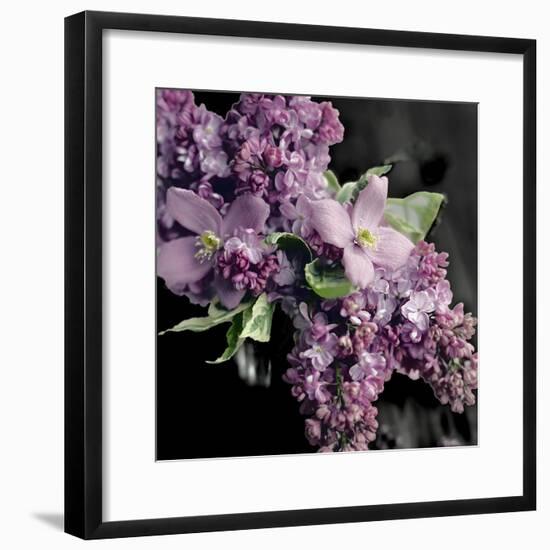 Fresh Evening Bloom-Sarah Gardner-Framed Art Print