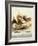 Fresh Figs and Cheese on Rustic White Bread-Ellen Silverman-Framed Photographic Print