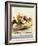 Fresh Figs and Cheese on Rustic White Bread-Ellen Silverman-Framed Photographic Print