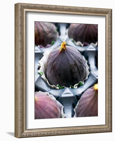 Fresh Figs in Paper Cases in Cardboard Packaging-Herbert Lehmann-Framed Photographic Print