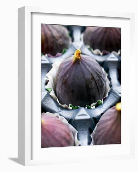 Fresh Figs in Paper Cases in Cardboard Packaging-Herbert Lehmann-Framed Photographic Print