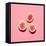 Fresh Figs on Pink Background.Vanilla Fashion Style-Evgeniya Porechenskaya-Framed Stretched Canvas
