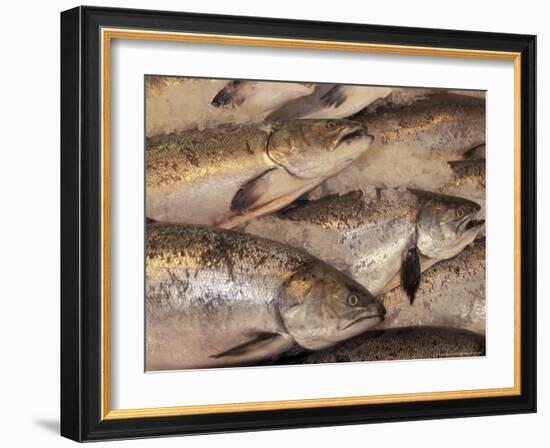 Fresh Fish at Pike Place Market, Seattle, Washington, USA-Merrill Images-Framed Photographic Print